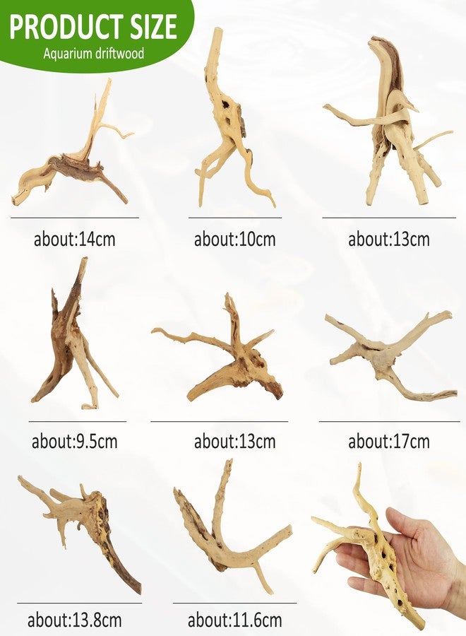 Axigundaone 8 Pcs Natural Spider Woods, 4-8 Inch Small Driftwood Branches, Aquarium Driftwood for Reptile Fish Tank Decorations - Image 3